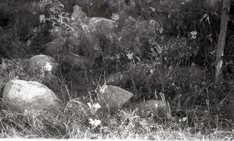 Kingissepa rajooni kultuurimälestis: kivikalme Kihelkonna kn Pajumõisa külas. I at.- II at.