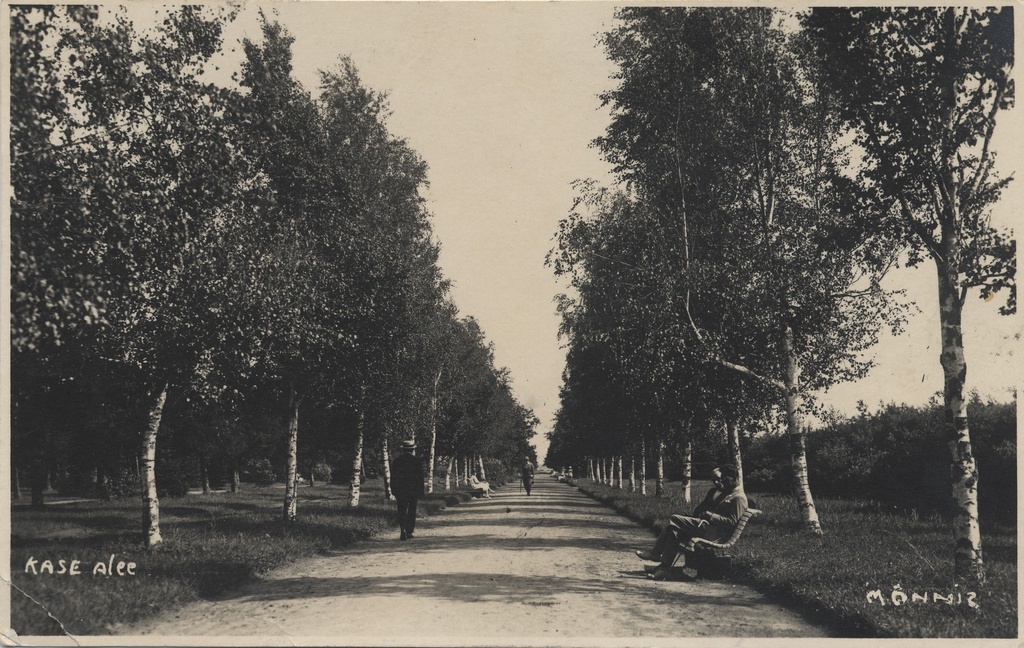 [pärnu] cassette alee