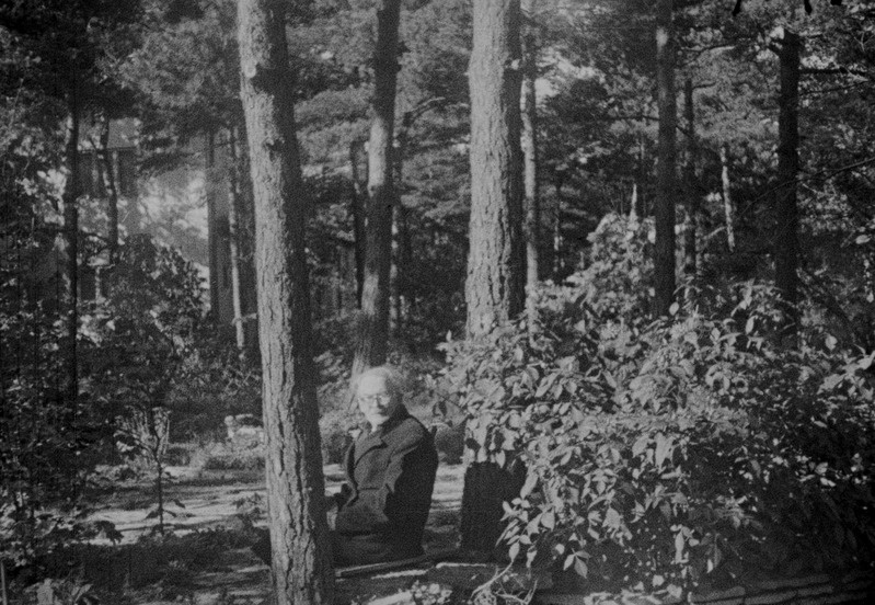 Friedebert Tuglas aias pingil istumas