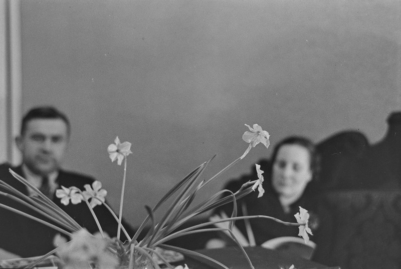 Mees ja naine laua taga, laual nartsissid vaasis