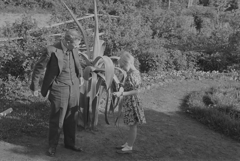 Elo Kurvits aias, juuni 1938