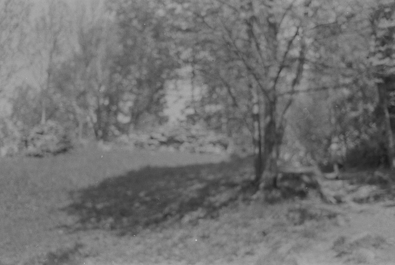 Loooduses, juuni 1938