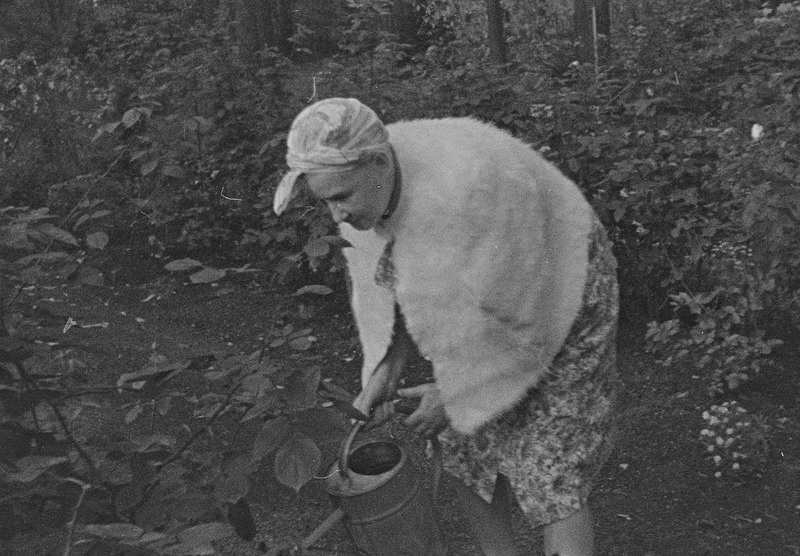 Elo Tuglas aias kastmas