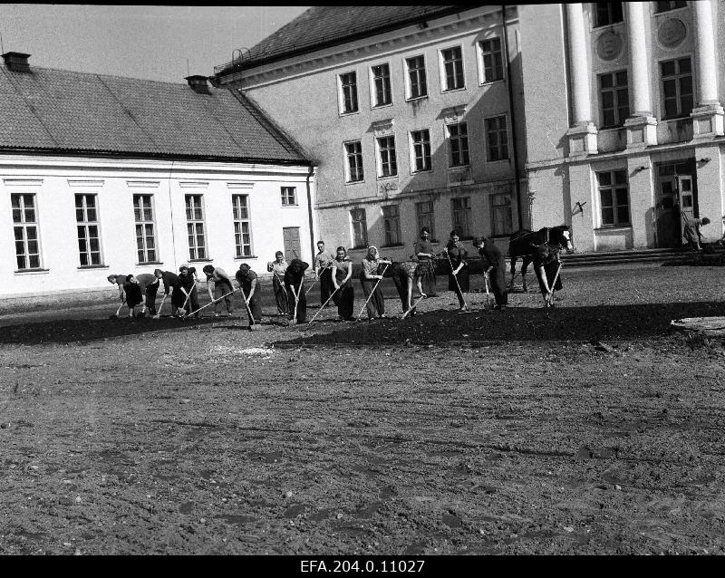 Kolhooside Esimeeste Ettevalmistamise Põllumajandusliku Keskkooli II b kursuse õpilased koolimaja esist korrastamas.