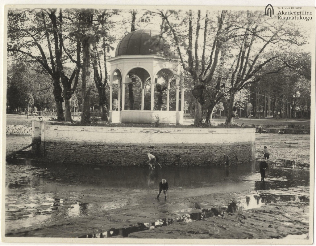 Cleaning of the Lugetigue