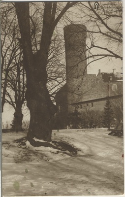 Tallinn. Long Hermann  duplicate photo