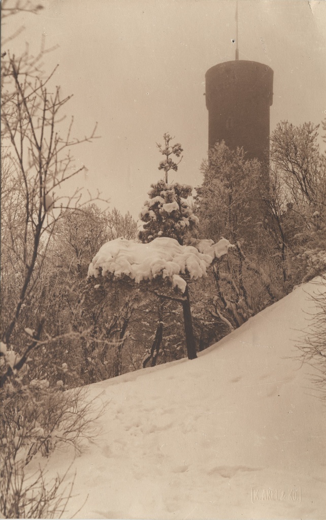 [tallinn] : [Pikk Hermann]
