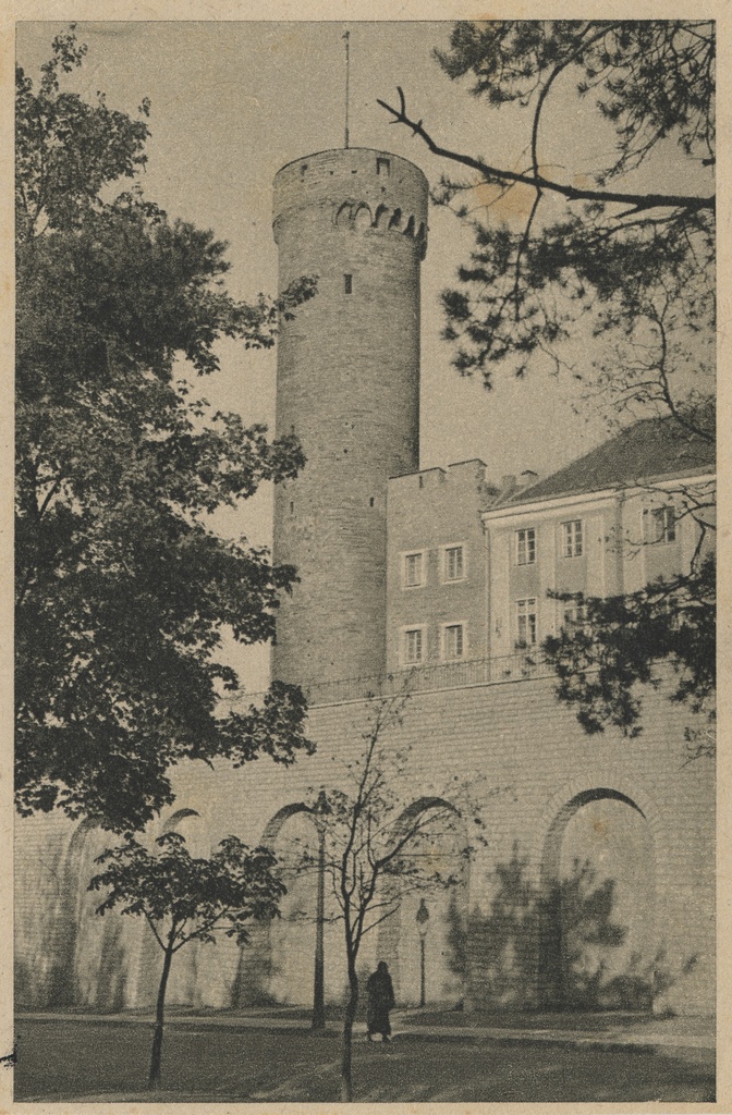 Tallinn : Pikk Hermann