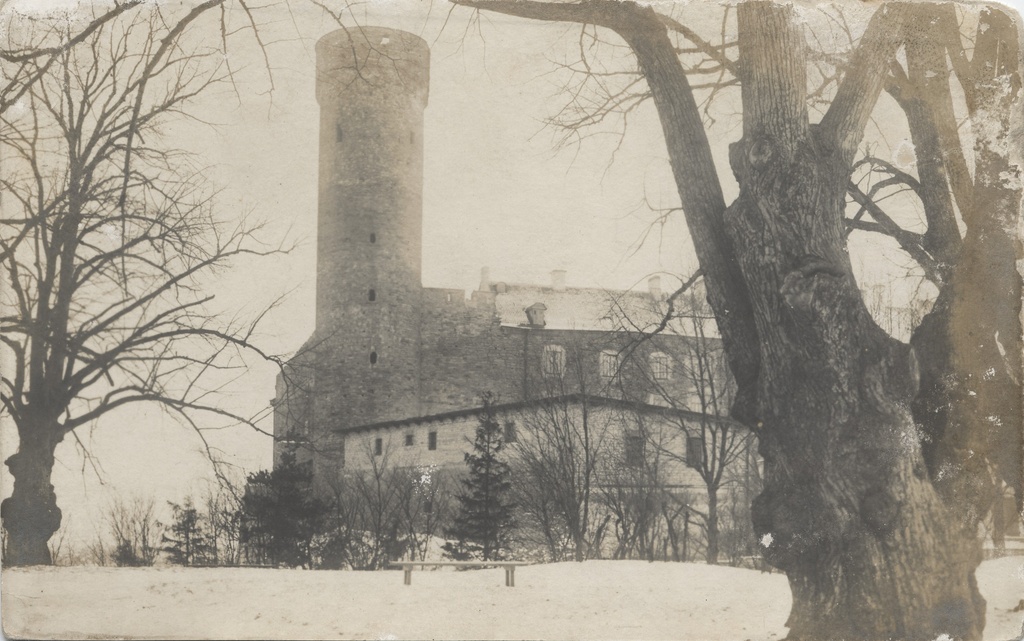 [tallinn] : [Pikk Hermann]