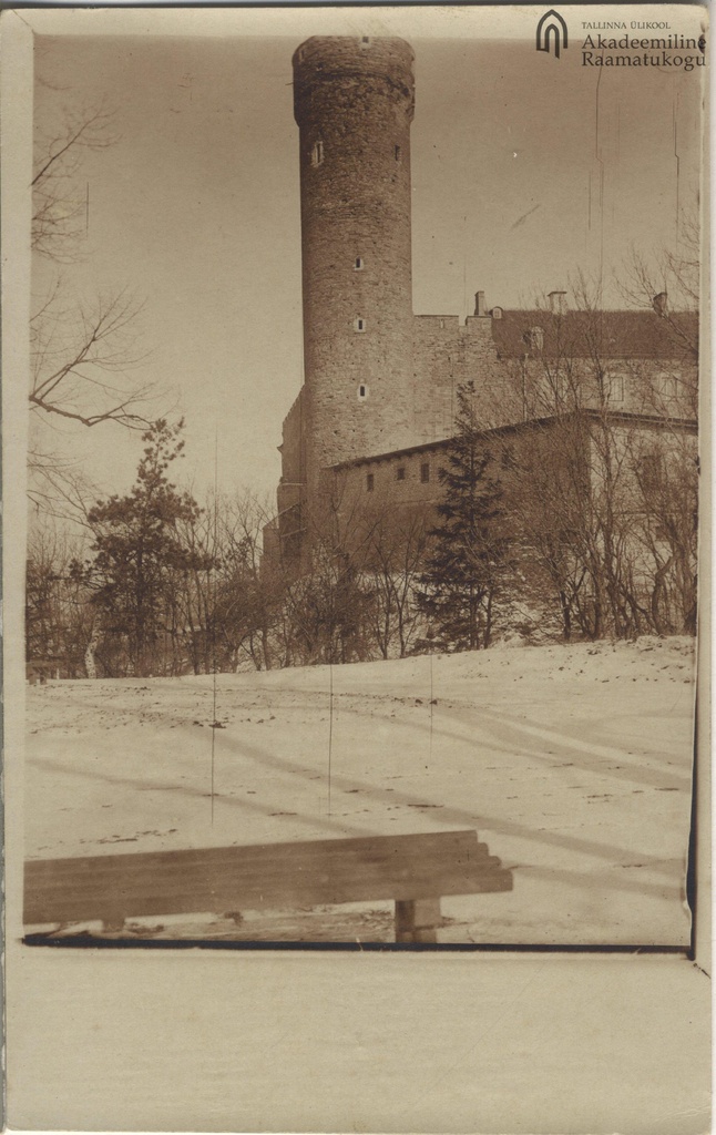 Tallinn. Long Hermann