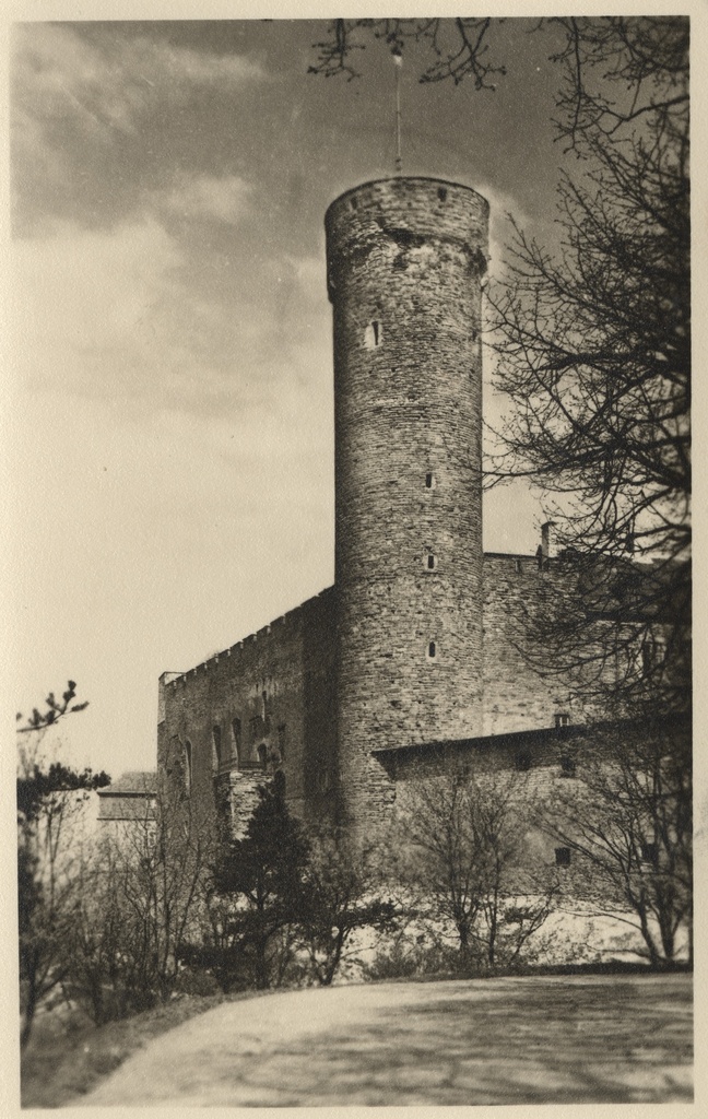 Tallinn : Pikk Hermann = Langer Hermann