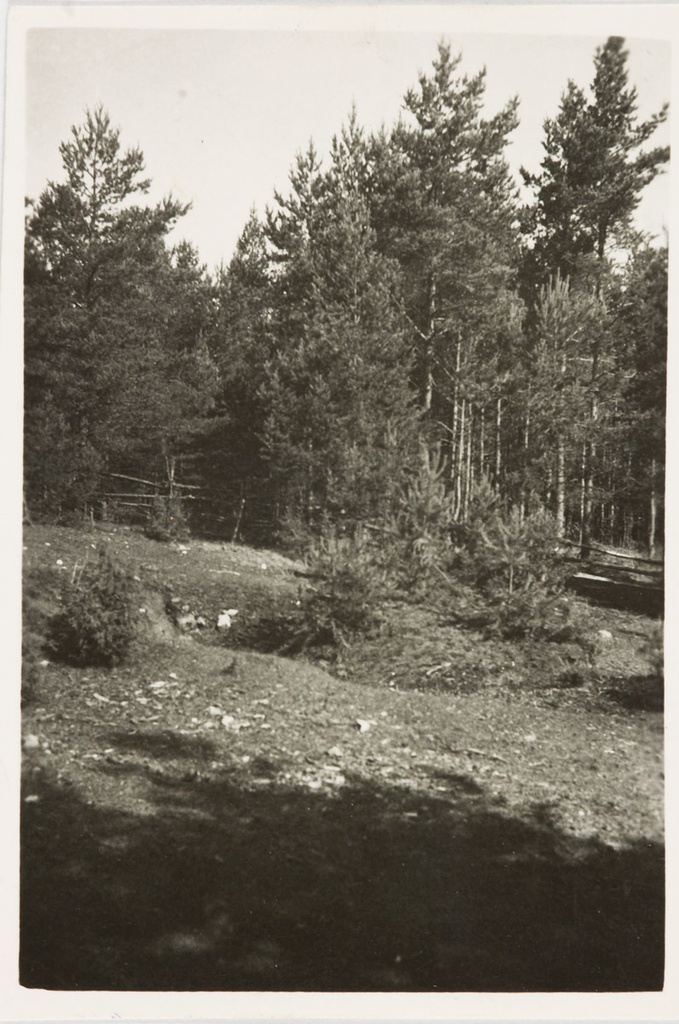 Sepa miiliauk, Sepa miiliauk, Järise k, Mustjala khk