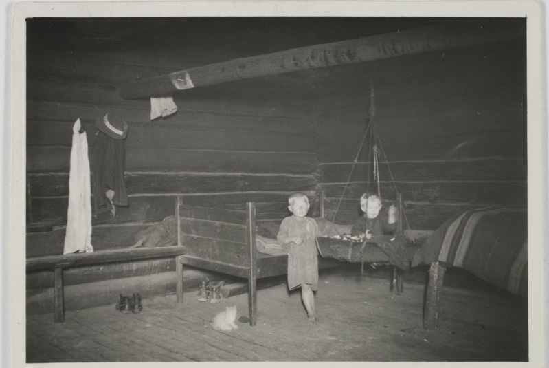 Suurpuu t. "sängünulk", Molnika k