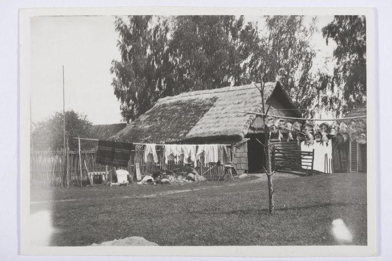 Tuna küla Pedastiku talus latikad kuivamas, samuti hamed, särgid ja laudlinad, vasakul kaks omakootud villast tekki