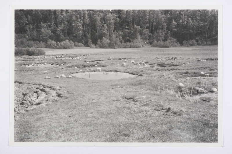 Vaade linaligudele, Meremäe v