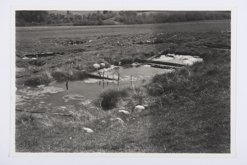 Linaligu. Meremäe v