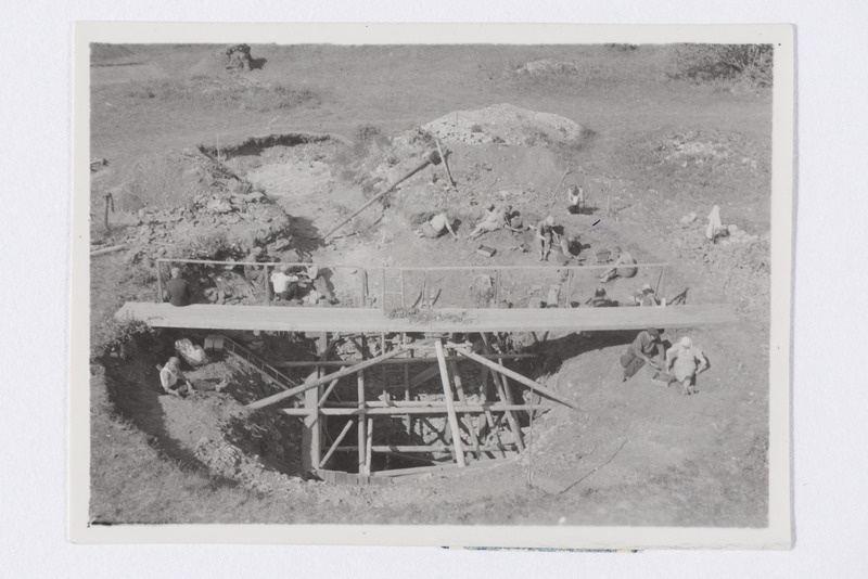 Varbola linnus: üldvaade kaevamistele S poolt tornist, Põlli k, Nissi khk, 25. VI 1941