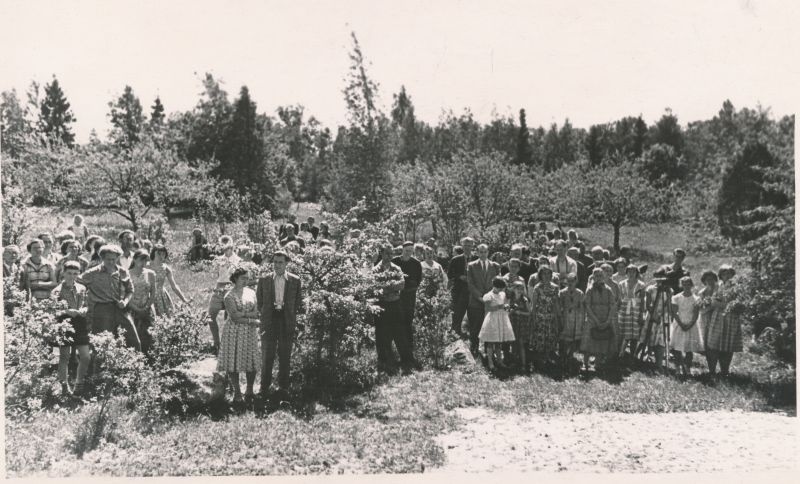 Foto. Ants Laikmaa majamuuseumi avamine Taeblas 5. juunil 1960. Vaade maja taga olevale rahvahulgale. Foto: R. Kalk.