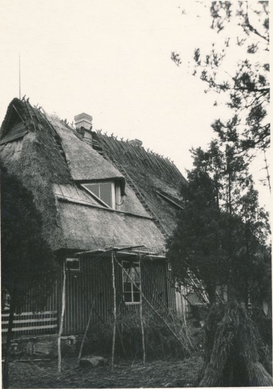Foto. A.Laikmaa majamuuseum Taeblas. Eluhoone katuse restaureerimine 1966. a kevadel. Foto: R.Kalk