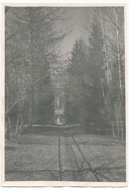 Foto. A.Laikmaa majamuuseum Taeblas. Allee pargis, selle lõpus A.Laikmaa hauasammas. 1964. Foto: R.Kalk.