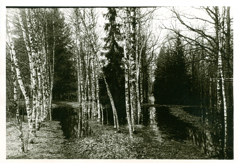 Foto. A. Laikmaa majamuuseumi park kevadel 1966. a.