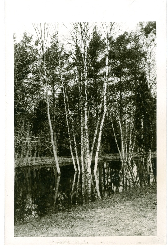 Foto. A.Laikmaa majamuuseumi park kevadel 1966.a.