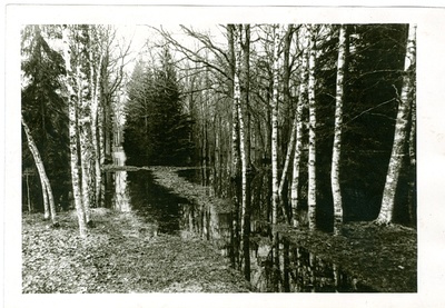 Foto. A.Laikmaa majamuuseumi park kevadel 1966.a.  similar photo