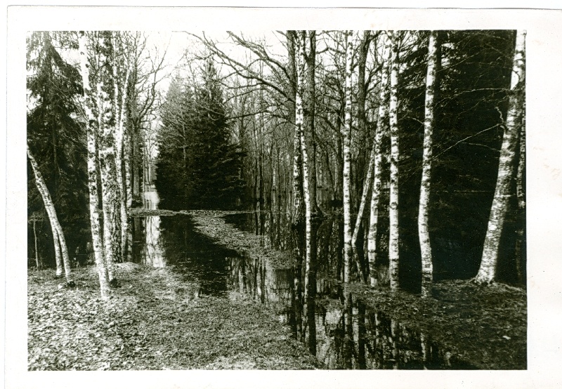 Foto. A.Laikmaa majamuuseumi park kevadel 1966.a.