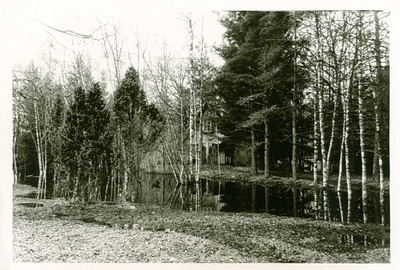 Foto. A. Laikmaa majamuuseumi suvemajake kevadel 1966.a. Pargivaade.  duplicate photo