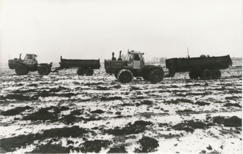 Foto. Orgaanilise väetise vedu põllule Kohtla-Järve sovhoosis. 1984.