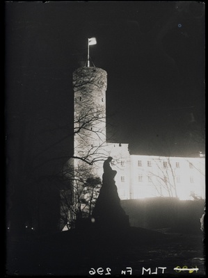 Tallinn, Pikk Hermann, vaade Lindamäelt.  duplicate photo
