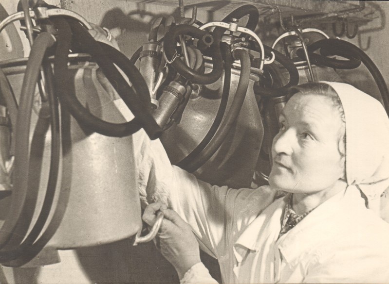 foto, Aino Vene 1961.a.