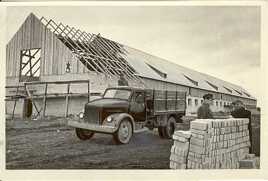foto, uue karjalauda ehitus Estonia kolhoosis 1953.a.