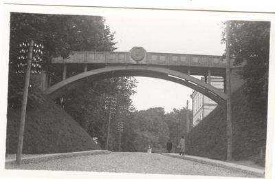 Tartu Devil Bridge  duplicate photo