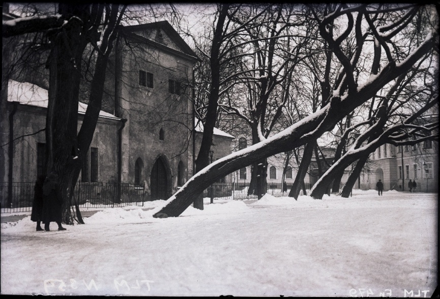 Tallinn, Toomkiriku lõunafassaad põlispärnadega.