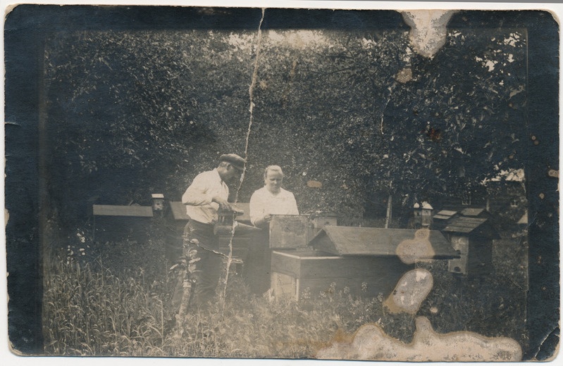 Marta ja Gustav Aksli mesilastarude juures, 1930. aastate lõpp Kaigutsi
