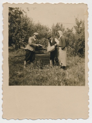 Tööd mesilas. Kaigutsi küla 1950. aastad  similar photo