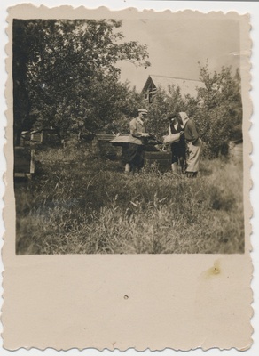Tööd mesilas. Kaigutsi küla 1950. aastad  similar photo