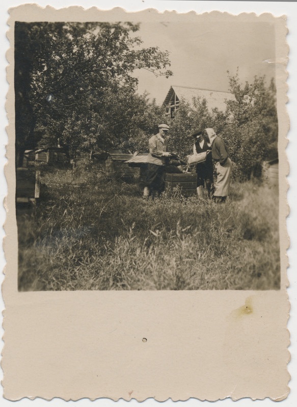 Tööd mesilas. Kaigutsi küla 1950. aastad