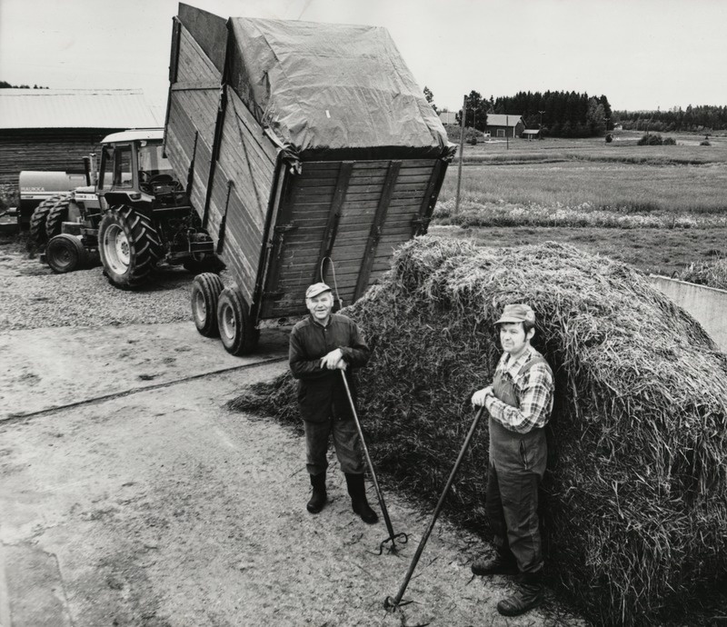 Heikki ja Martti Kokko, Soome farmerid