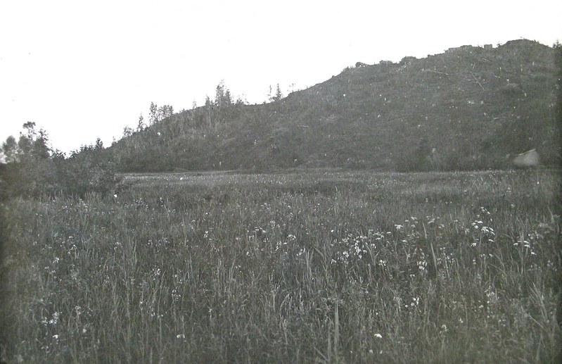 Mägi Roela lähedal