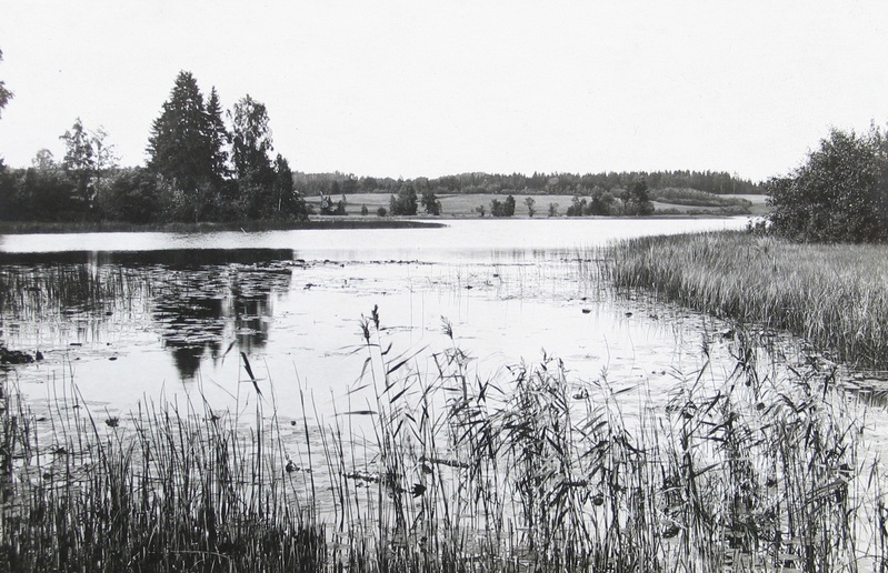 Emajõe väljajooks