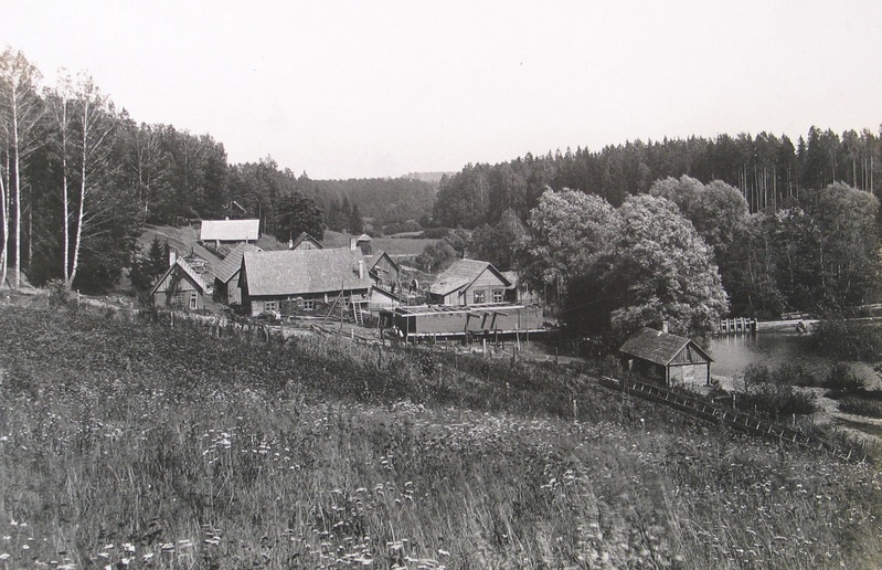 Peedu veski Elva lähedal