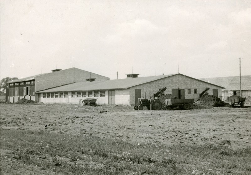 Audru sovhoosi Sauga osakonna katuslaega laut