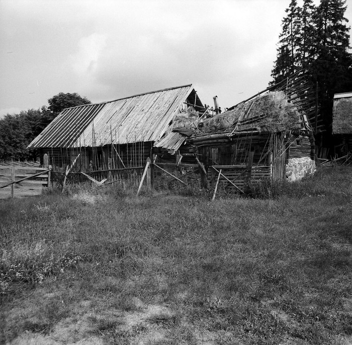 Mihkli talu laut Malvastes