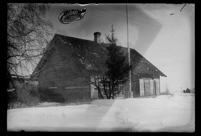 Dwelling, winter nature
