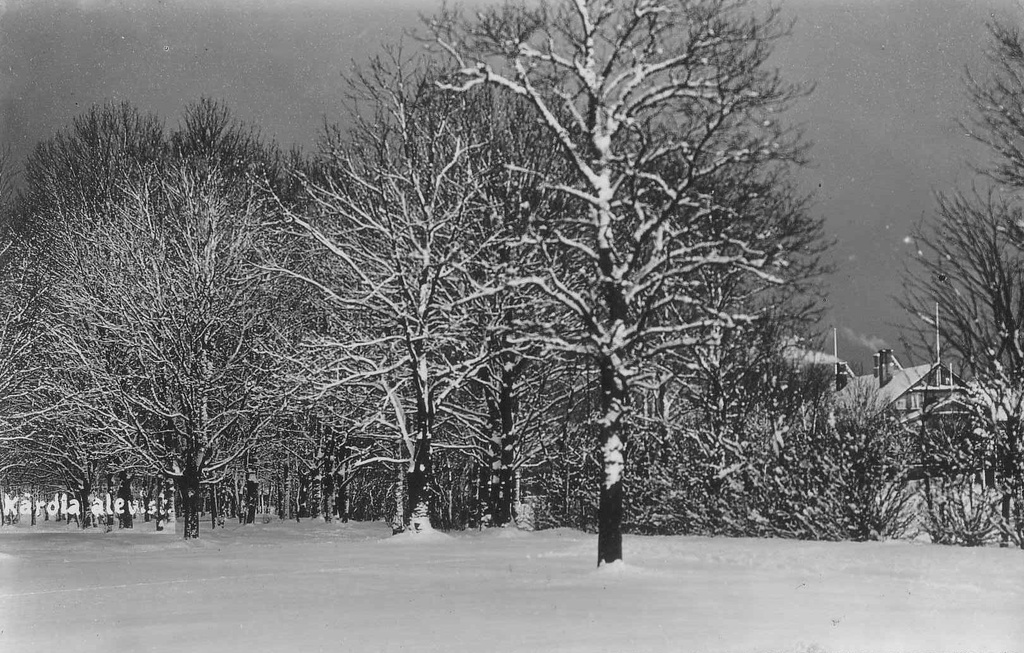 Kärdla park talvel