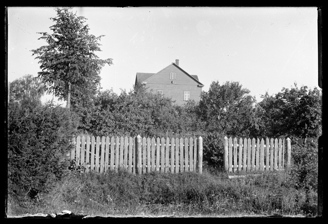 View of living house and fruit trees
