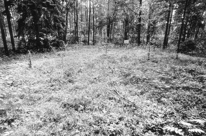 Pelgupaik nr.512 Nõmbas