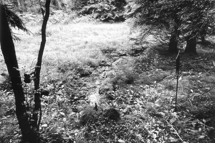 Külmaallik (ohvriallikas nr.514, II aastatuhat, kv.59, Mägipe k. Tuuru talust ca 1000m põhjas seljandiku jalamil)